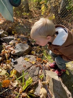 If You Want to Make the Most Out of Life, Take Your Cue From a Two-Year-Old